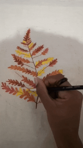 StudioLisaPhilbert  GIF
