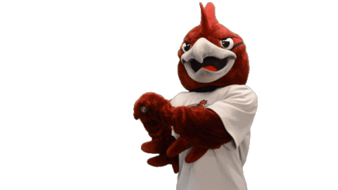 Roadrunners Rcnj Sticker by Ramapo College of New Jersey