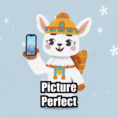 Picture Perfect Photography GIF by Llamaozi