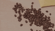 Cup Of Coffee GIF by GIPHY Studios 2021