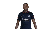 Eintracht Frankfurt Hello Sticker by Bundesliga
