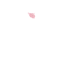 Flying Pig Sticker by PositivelyPigasus