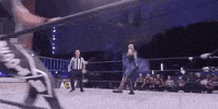 Dustin Rhodes Aew On Tnt GIF by All Elite Wrestling on TNT