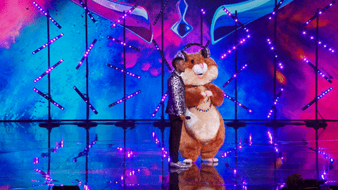 Season 6 Mask GIF by The Masked Singer