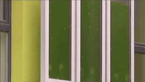 biology GIF