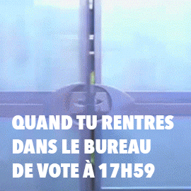 Parti_socialiste giphyupload vote election elections GIF