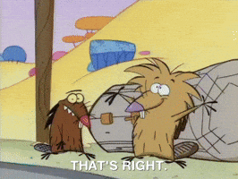 nickrewind nicksplat angry beaver GIF