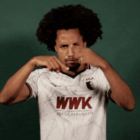 Bundesliga GIF by FC Augsburg 1907
