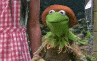 Wizard Of Oz Shrug GIF by Muppet Wiki