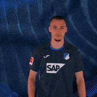Sport Hallo GIF by TSG Hoffenheim