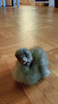 Run Away Day Off GIF