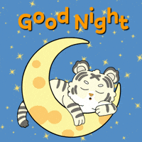 Good Night GIF by Ordinary Frends