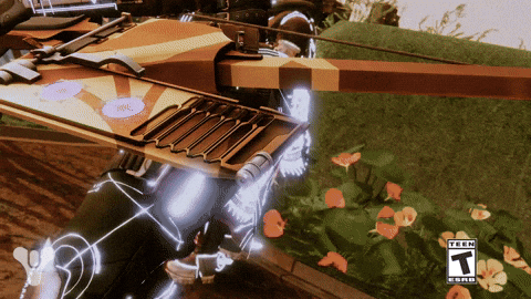 Destiny 2 Solstice GIF by DestinyTheGame