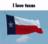 Texas Flag GIF