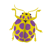 dhefloriano nature bug insects natureza Sticker