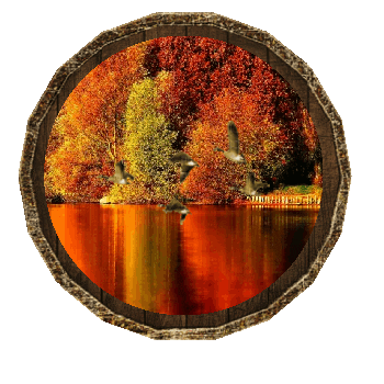 Fall Autumn Sticker