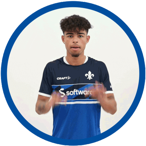 2 Bundesliga Football Sticker by SV Darmstadt 1898 e.V.