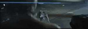 big cat GIF by Domino Recording Co.