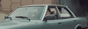 big cat GIF by Domino Recording Co.