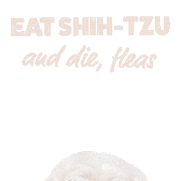 Cat Dog Sticker by Itch.