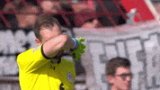 Robin Fcsp GIF by FC St. Pauli