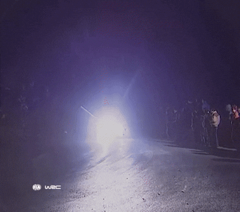 Driving Colin Mcrae GIF by FIA World Rally Championship