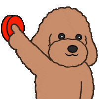 Puppy Poodle Sticker