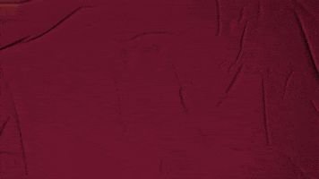 College Baseball GIF by Pearl River Athletics