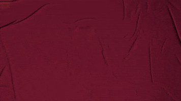 College Baseball GIF by Pearl River Athletics
