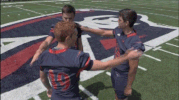 rmuathletics rmu robert morris robert morris university GIF