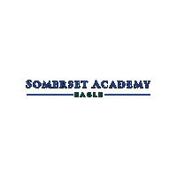 Academica Schools Sticker by Academica