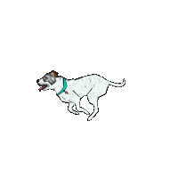Velaviee dog puppy dogs paws Sticker