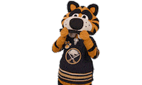Ice Hockey Sticker by NHL