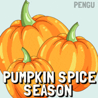 Iced Coffee GIF by Pudgy Penguins