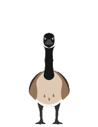 Mrgoose Sticker by UWaterloolife
