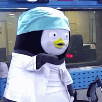 Pengsoo GIF
