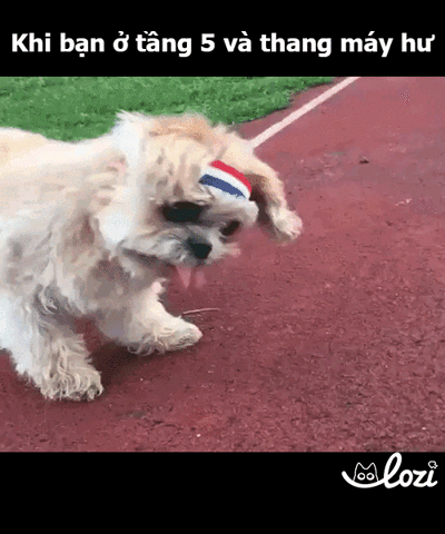 duong-gif19 GIF by Lozi Singapore Co.