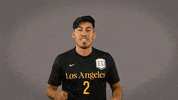 Division Ii Soccer GIF by Cal State LA Golden Eagles