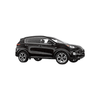 Car Vehicle Sticker by Bulldog Kia