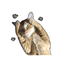 IXSERA headache bolts eb bombom Sticker