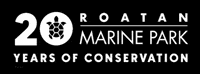 Anniversary GIF by Roatan Marine Park