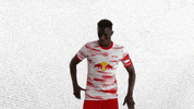 Läuft No Problem GIF by RB Leipzig