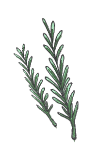 Practical Magic Rosemary Sticker by Pretty Whiskey / Alex Sautter