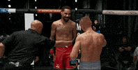 Episode 9 Mma GIF by UFC