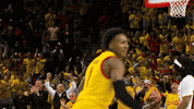 Yell Big Ten GIF by Maryland Terrapins