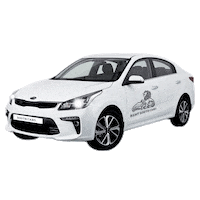 andesign_southcars_ru car go race speed Sticker