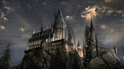 Ssh Badjakegif GIF