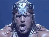 triple h wrestling GIF by WWE
