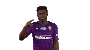 Mind Yes Sticker by ACF Fiorentina