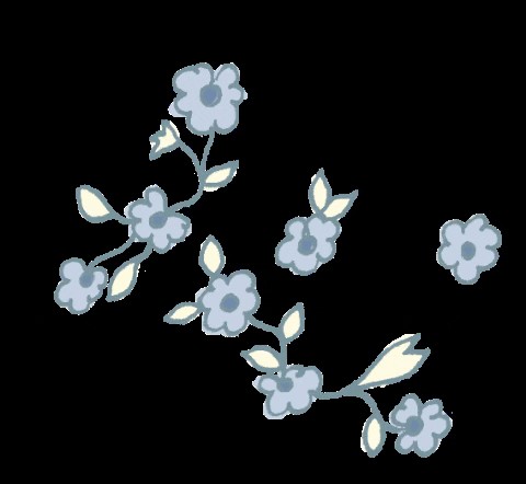 Flowers GIF by Dondolo Baby